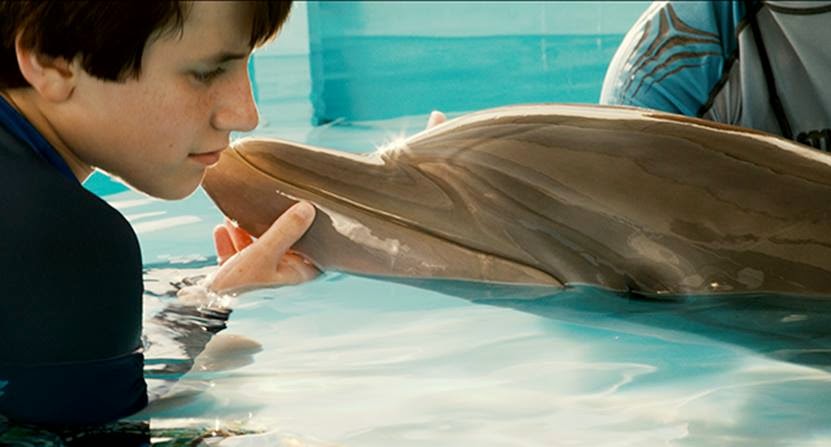 Dolphin-Tale-2_5