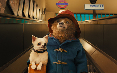 paddington_3_ew