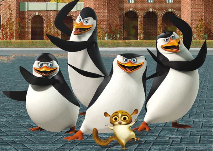 pinginos-de-Madagascar