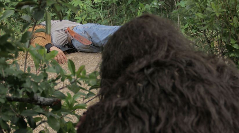 Terror_en_el_bosque_EW_2