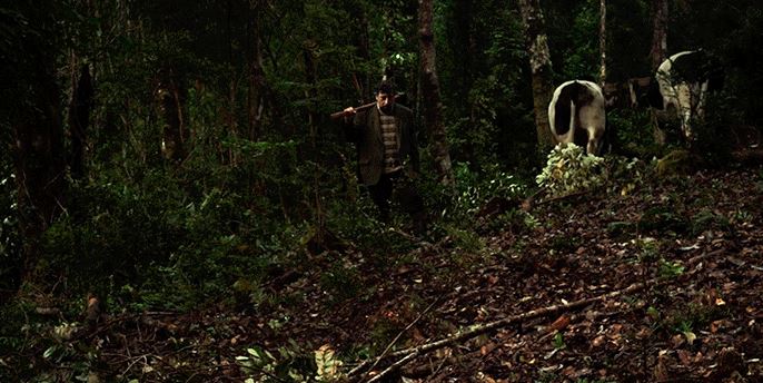 Joselito_EW_en_baja_