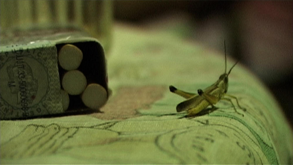 Entrevista_Marcos_EW_4