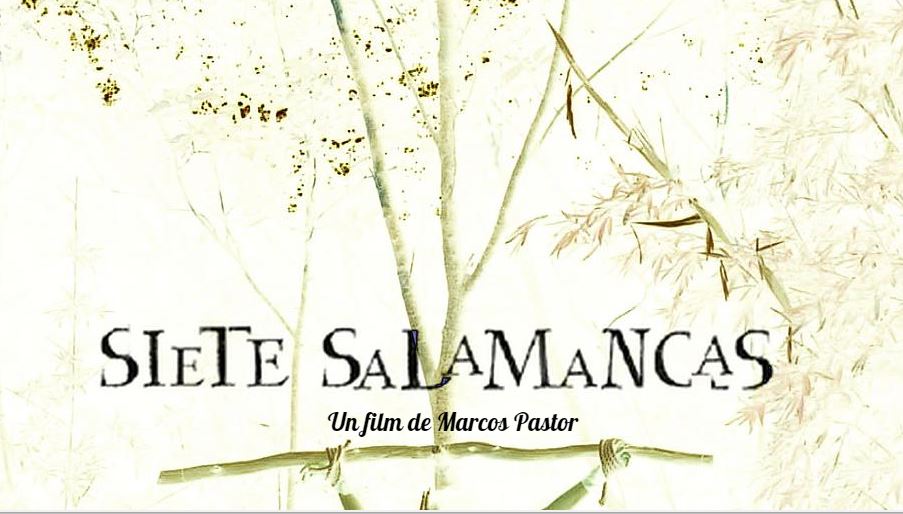 Entrevista_Marcos_EW_5