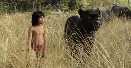 jungle_3_ew